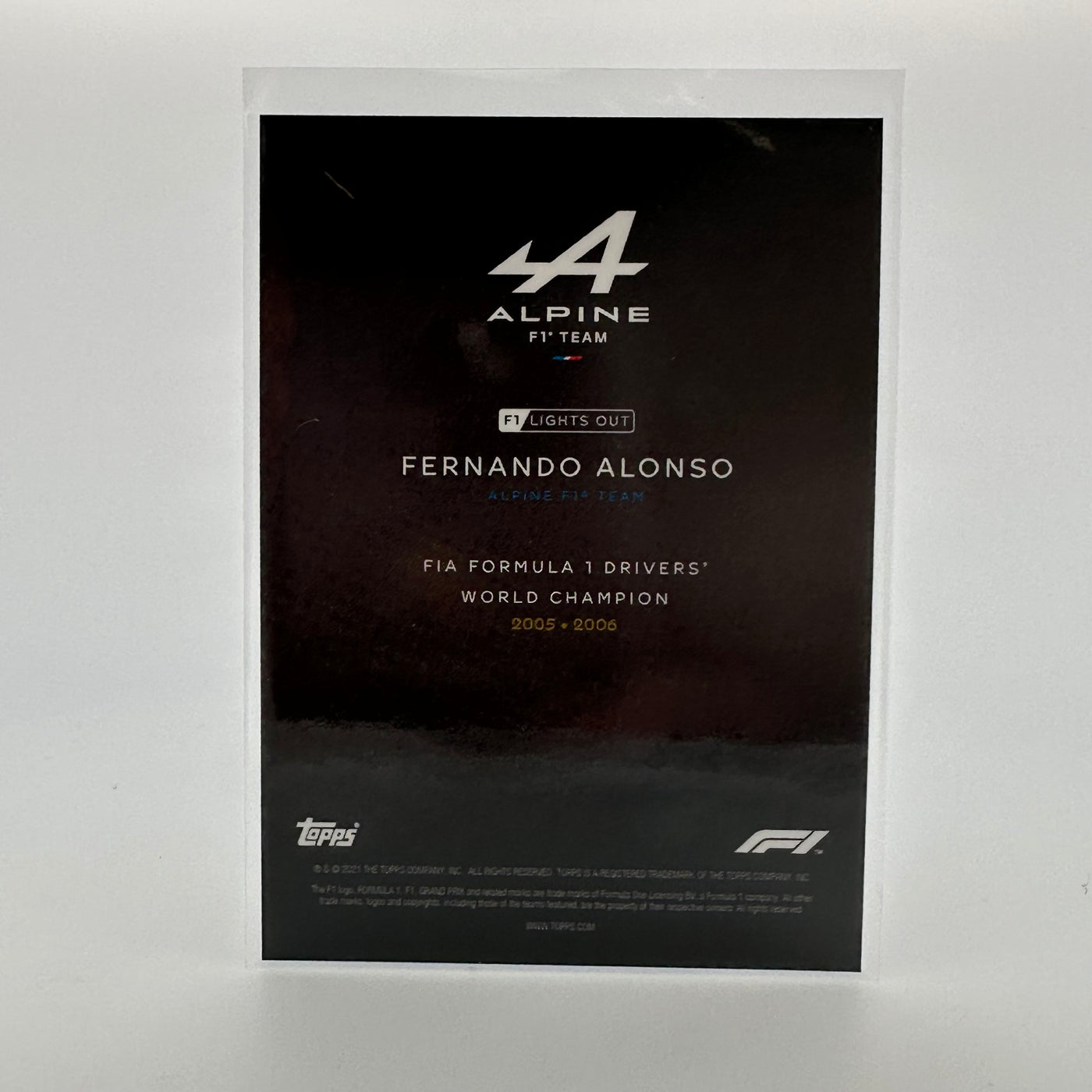 07/10 Fernando Alonso - Drivers World Champion